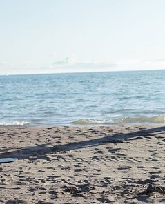 Laura Checkmate By Body In Mind