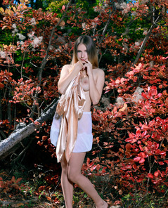 Dakota Pink Fall Fling By Met Art