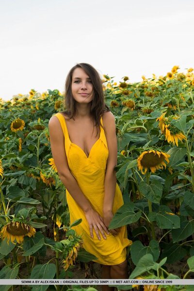 Semmi A yellow beauty - photo 01