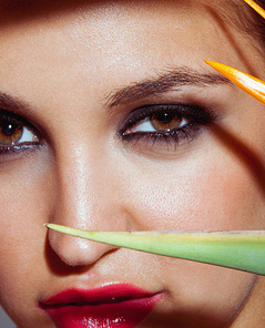 Jaclyn Swedberg Wild Rose