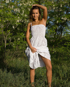 Showy Beauty Terra