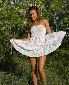 Showy Beauty Terra