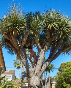 Agatha Vega Palm Tree By Watch 4 Beauty