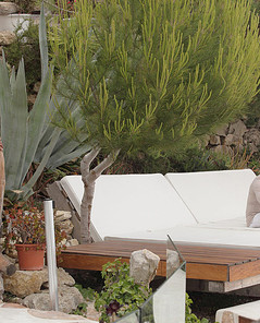 Silvie in sex scene by X Art