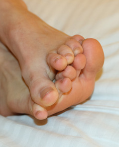 Paisley Osiris Creamy Flamingo By Zishy